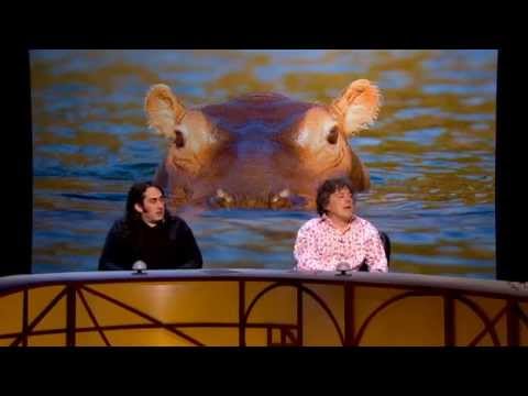 QI XL - H05 - Hanimals