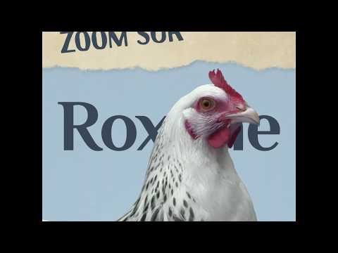 Roxane - avec Guillaume de Tonquédec et Léa Drucker