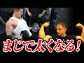 【筋トレ】この腕トレをやれば絶対に太くなる!という種目を5つに絞りました。
