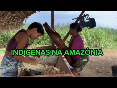 Como vive os Indígenas da Amazônia 