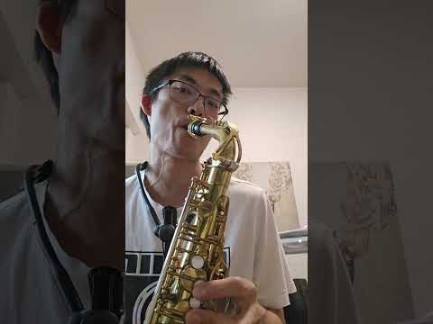 Selmer Mark VI Alto Saxophone, 1954 image 11