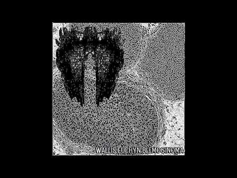 COUPO - Wallis Luchyn Blemoginoma 2013