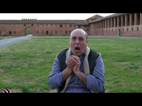 Endive Salad | Gennaro Contaldo