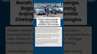 Bocah 9 Tahun di Jasinga Bogor Tewas Diserang Anjing Pemburu, Pemilik Ditetapkan Jadi Tersangka