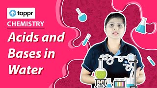 Acids and Bases in Water | Acids and Bases | Class 10 Chemistry (CBSE/NCERT)