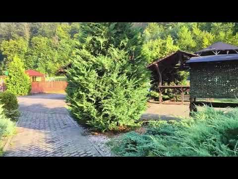 Centrul stațiunii Moneasa  2025