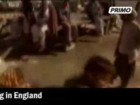 Edition of 28/11/2007