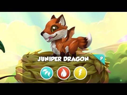 Dragon Mania Legends Juniper Dragon Hatching (Android account)