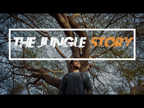 The Jungle Story | Cinematic Video