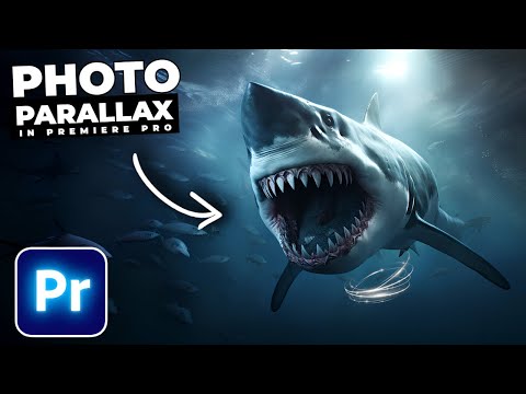 DOLLY ZOOM Vertigo Effect Tutorial In Premiere Pro