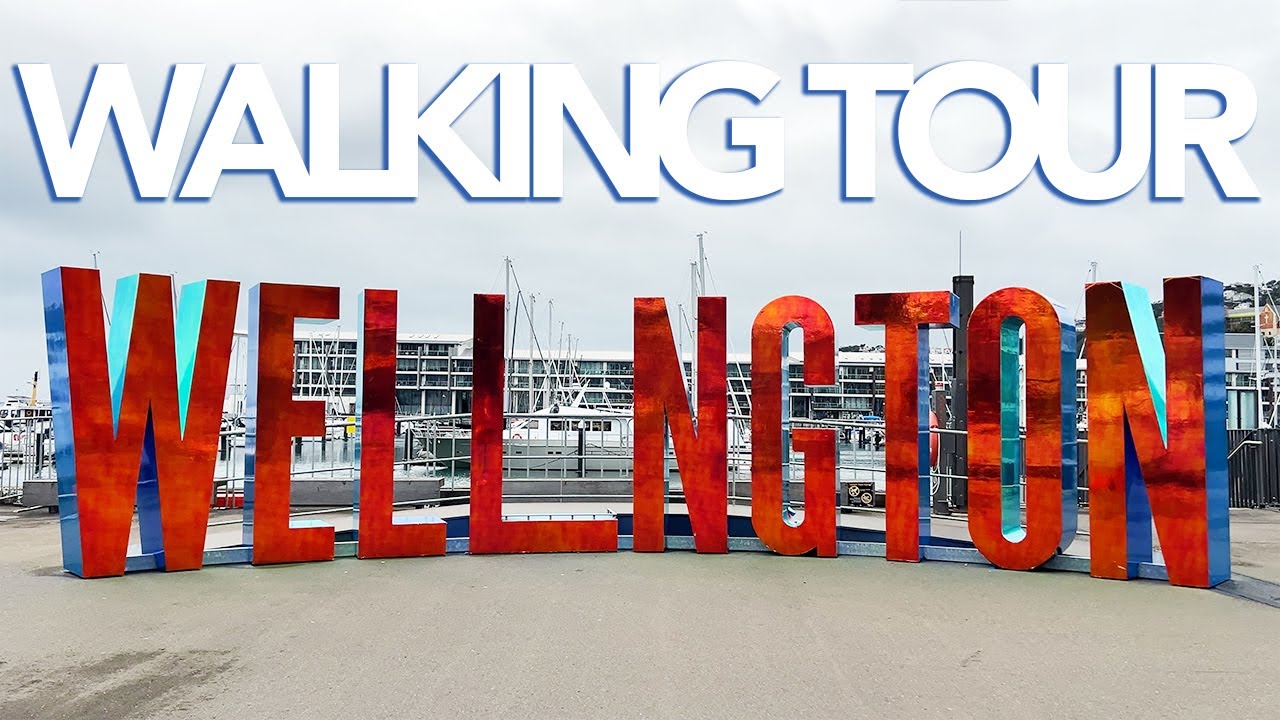 Embark on an immersive walking tour at Oriental Bay.