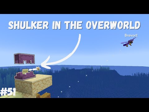 Brevort - Bringing a SHULKER to the OVERWORLD - (Let's Play #51)
