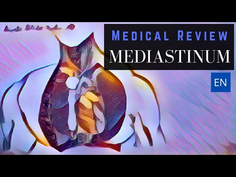 Anatomy of the Mediastinum (Contents of Compartments of the Mediastinum)