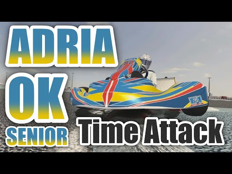 Kart Racing Pro Onboard OK Senior FA around Adria Karting Raceway