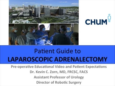 Laparoscopic Adrenalectomy 