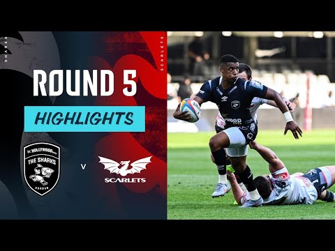 United Rugby Championship and The Sharks