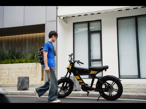 Mangosteen FT03 Electric Bike for Adult Real shot