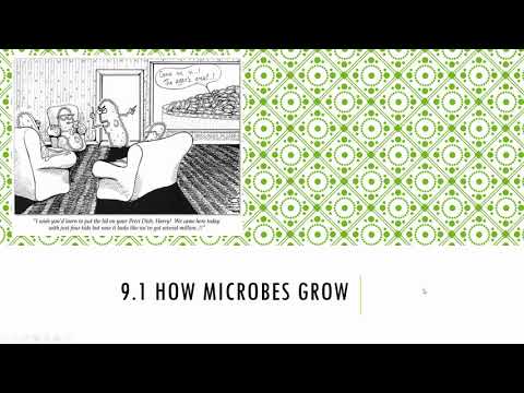 Bio 225 Chapter 9: Microbial Growth