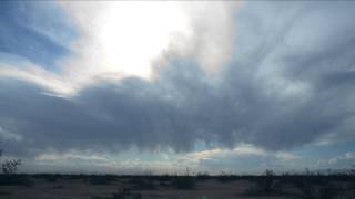 The Picturebooks - Sun and Sands (Official Music Video) | RidingEasy Records