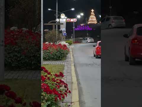 Que hermosas rosas tiene la Avenida Arrayanes de #villalaangostura en #neuquen #shorts #patagonia