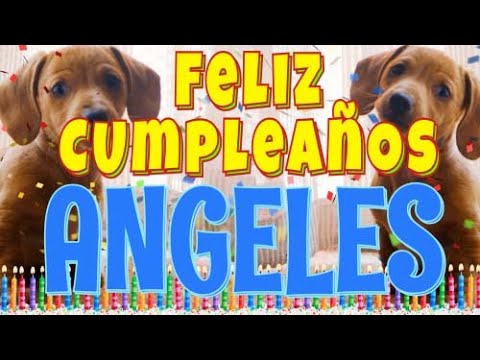 ¡Feliz cumpleaños Angeles! (Perros hablando gracioso) ¡Muchas felicidades Angeles!
