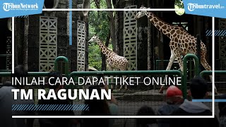 Ingin Berwisata ke Taman Margasatwa Ragunan? Begini Cara Mendapatkan Tiketnya secara Online