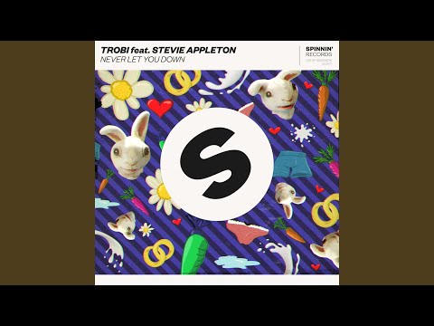 Never Let You Down (feat. Stevie Appleton) (Extended Mix)