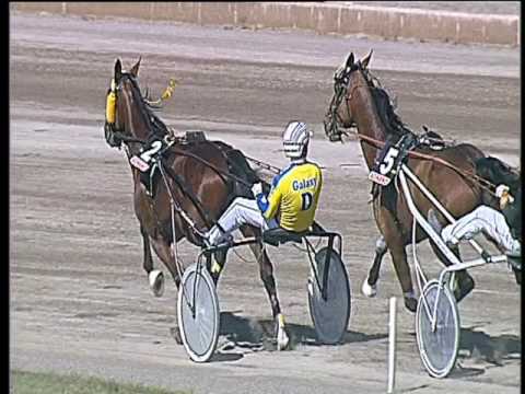 Trotto 09/04/2017 - 2ª corsa