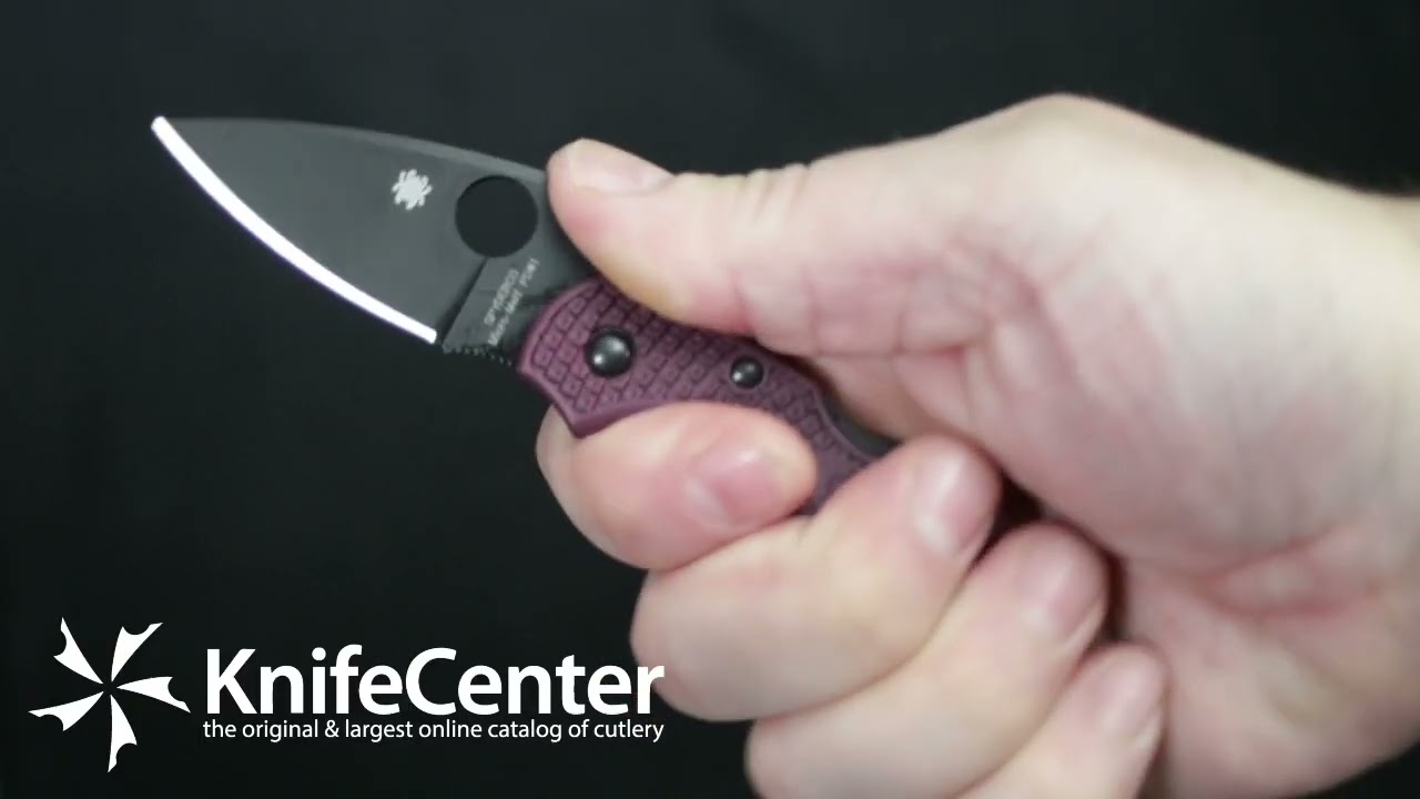 Spyderco Dragonfly 2 Lightweight Sprint Run Folding Knife