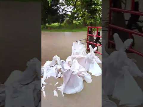 Inundaciones en la vereda La Plata en Pore