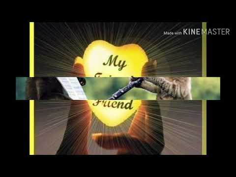 Yakan Nasheed: Pagbagay