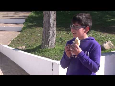 Todos podemos colaborar