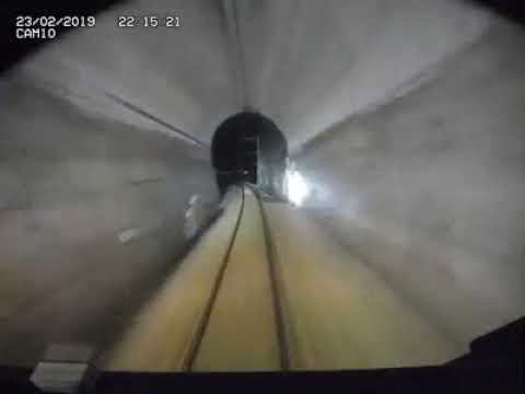 Schnellbremsung MIB wegen zwei Hirschen