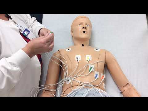 12 Lead ECG and Telemetry