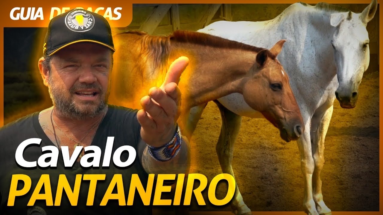 CAVALO PANTANEIRO, O AUTÊNTICO CAVALO BRASILEIRO! | RICHARD RASMUSSEN