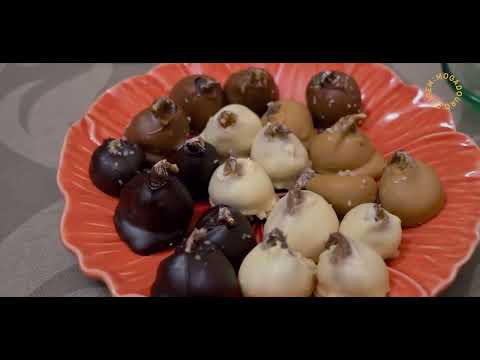 ORIGEM:MOGADOURO | Terras do Sabor