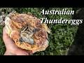 Digging for Thundereggs In Australia with Rookie Rockhounding! My Very First Thunderegg Hunt!