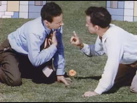 6 Norman McLaren   Neighbours