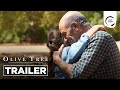 THE OLIVE TREE Trailer
