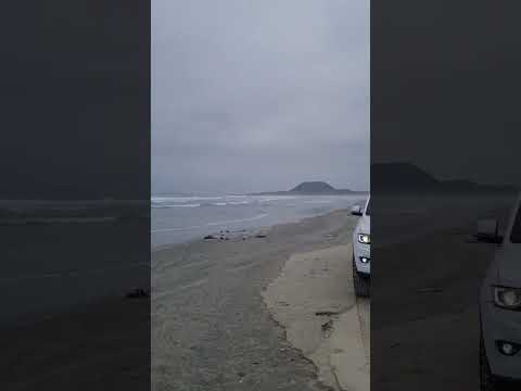 RESERVA NATURAL Punta Mazo || San Quintin BC