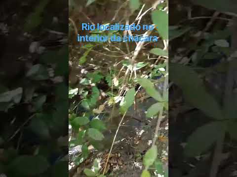 Rio localizado no fundo da chácara Santo Antônio das brancas em Agua Fria de Goiás.