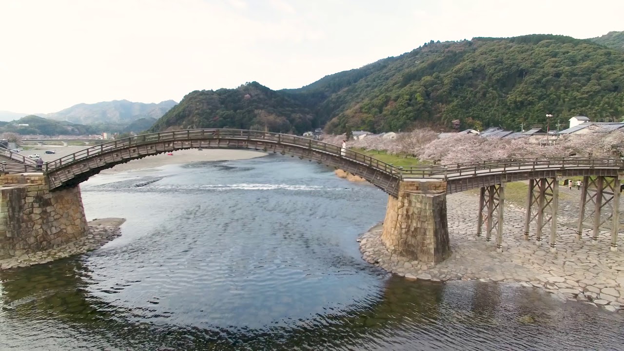 錦帯橋（桜）