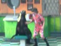 Highlights From Sea Lions Tonight