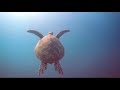 Moby   Love Of Strings 2013 HD