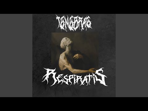 Neverbloom (feat. Yxung Bvphomxt)