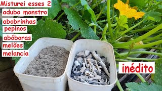 misturei esses 2 Adubo Monstro abobrinhas pepinos melão melancia e abóboras!