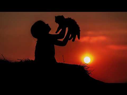 Pure Bliss - TMA-6 Trip Report #1