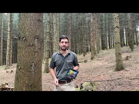 Waldwirtschaftsplan – Nachhaltige Waldbewirtschaftung muss geplant sein