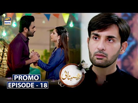 Watch Shehnai Episode 18 Tomorrow At 9:00 pm only on ARY Digital
