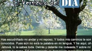 Miniatura del video: El versiculo del dia .com - Salmos 139 v3-6